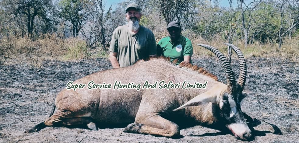 Roan — Super Service Hunting Tanzania