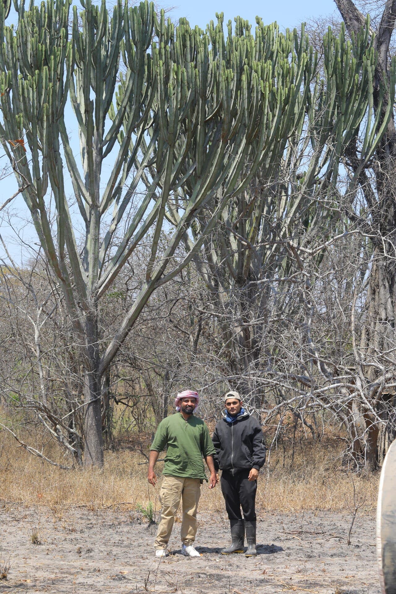 Plains Game Hunt Safari — Super Service Tanzania