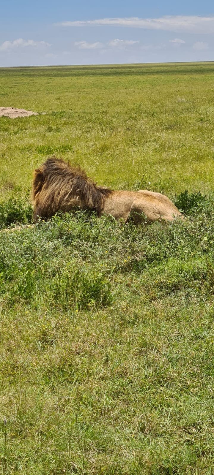 Dangerous Game Hunt — Super Service Tanzania