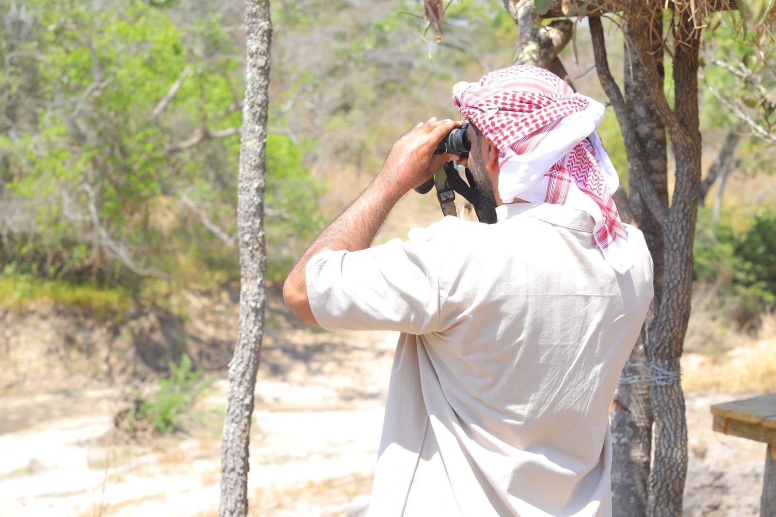 Gulf client surveying Rungwa North open forest with binoculars, Tanzania