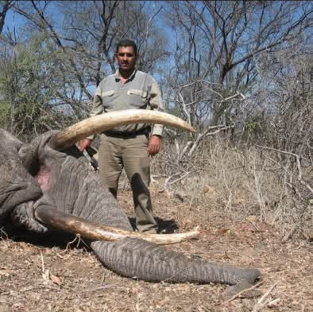 Bull Elephant — Rungwa Ecosystem