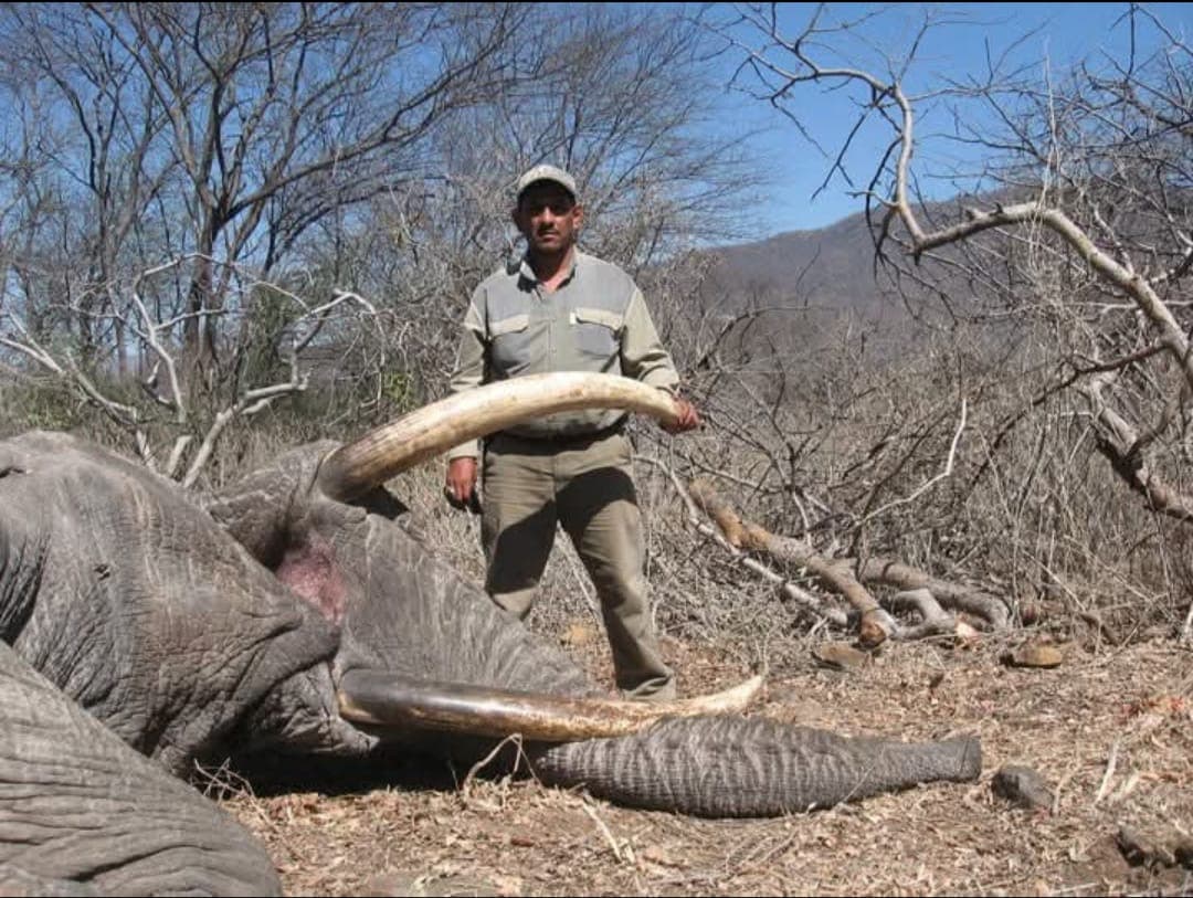 Trophy Elephant — Rungwa North